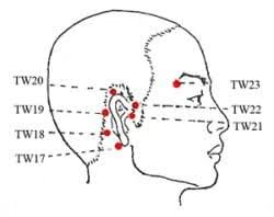 Korean vs. Japanese Shiatsu: Pressure Point Showdown